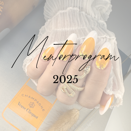 Mentorprogram 2025